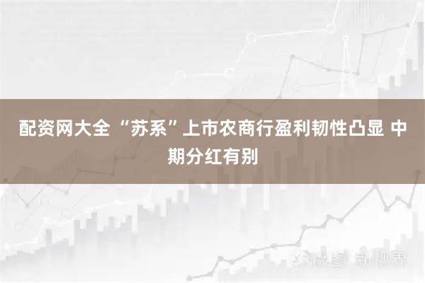 配资网大全 “苏系”上市农商行盈利韧性凸显 中期分红有别