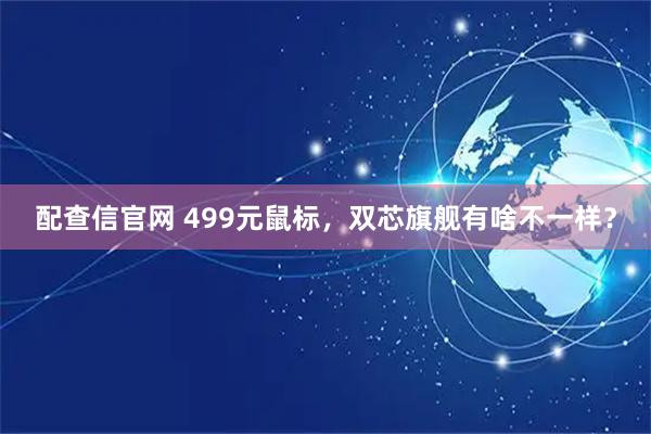 配查信官网 499元鼠标，双芯旗舰有啥不一样？
